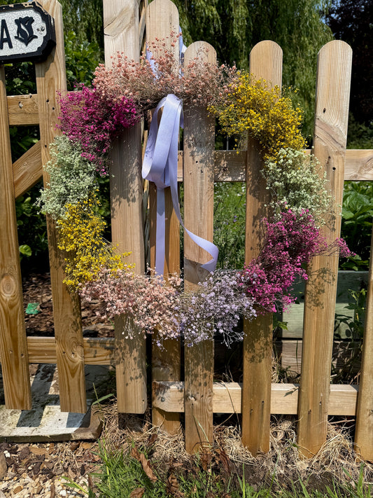 Rainbow Gypsophila dried Wreath 55cm