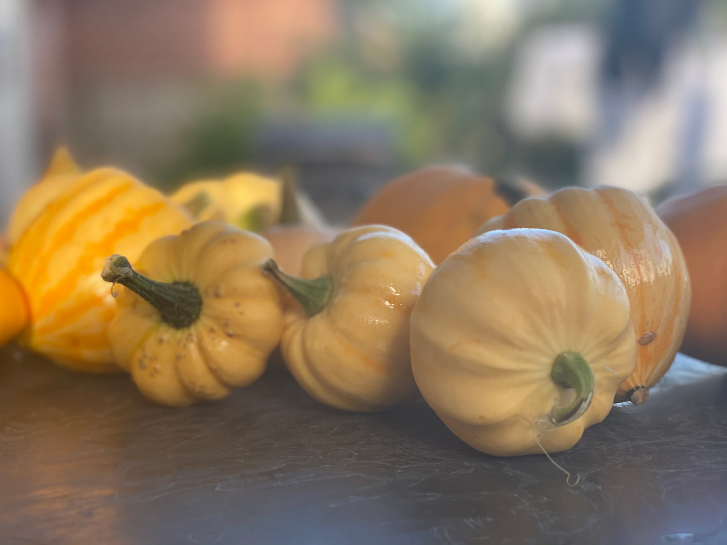 Pumpkin floral Arrangment