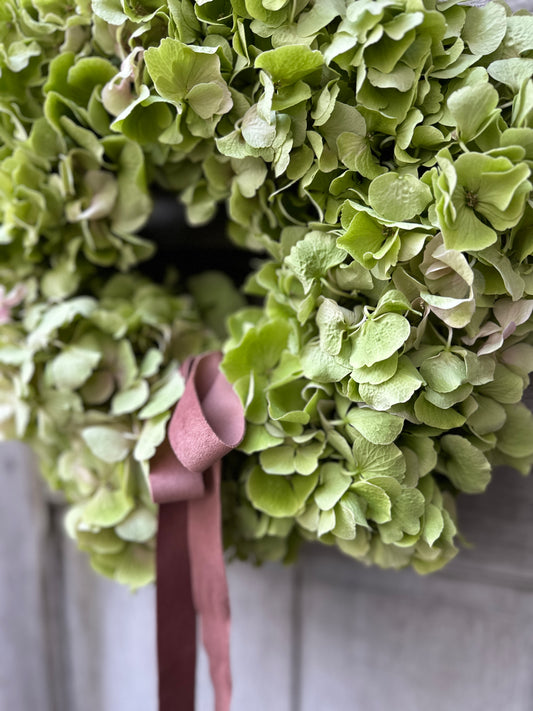 Dried Hydrangea Workshop. Tuesday 21st October 7pm