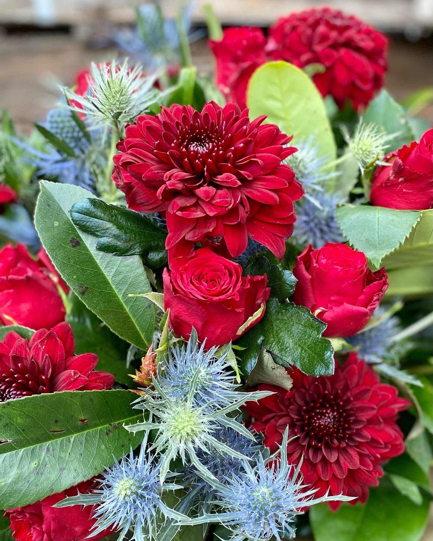 Valentine's Day six red rose mix bouquet