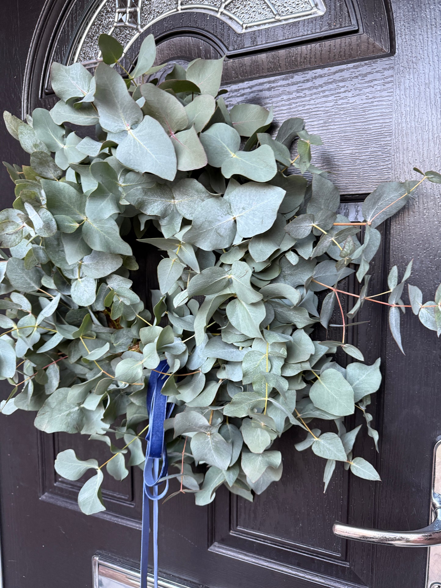 Eucalyptus ‘Buy to Dry’ wreath