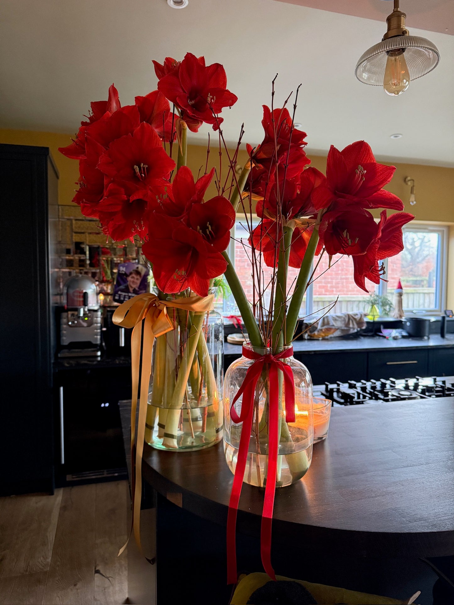 Amaryllis Bunches