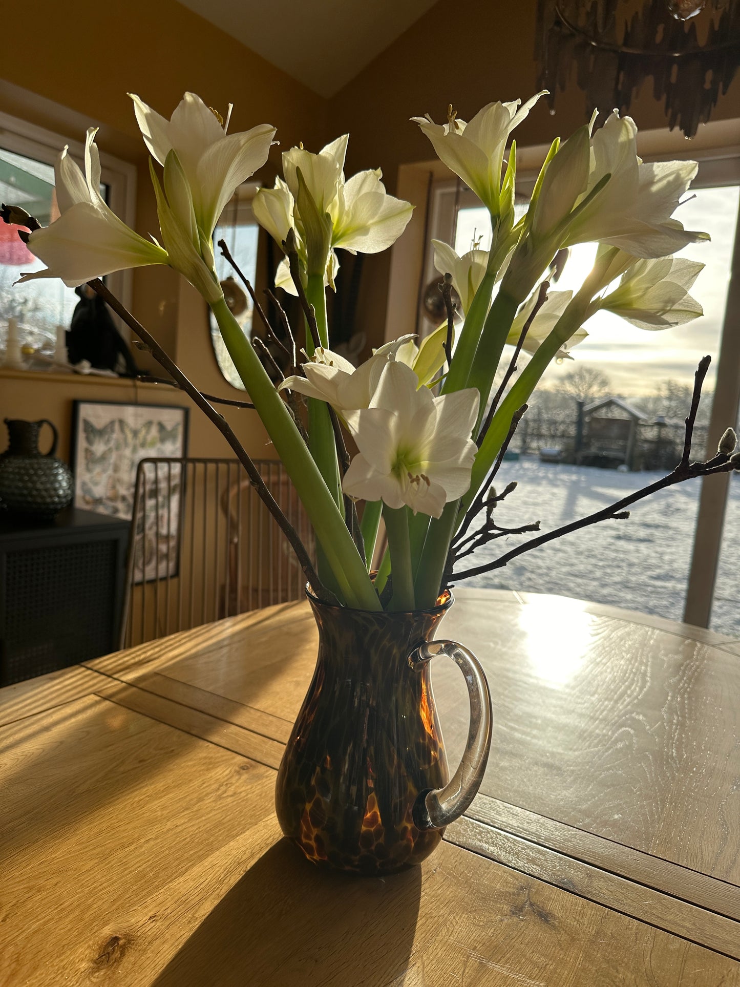 Amaryllis Bunches