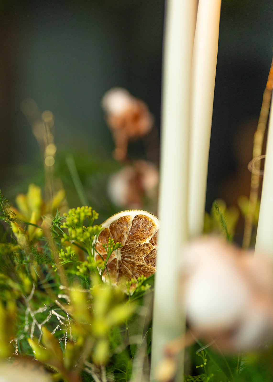 Christmas Fresh and Festive Arrangement